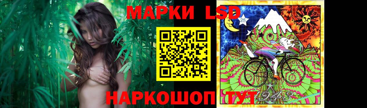 Волхов  Лсд 25 экстази кислота  LSD-25 экстази  LSD-25 экстази кислота  Вход с VPN 