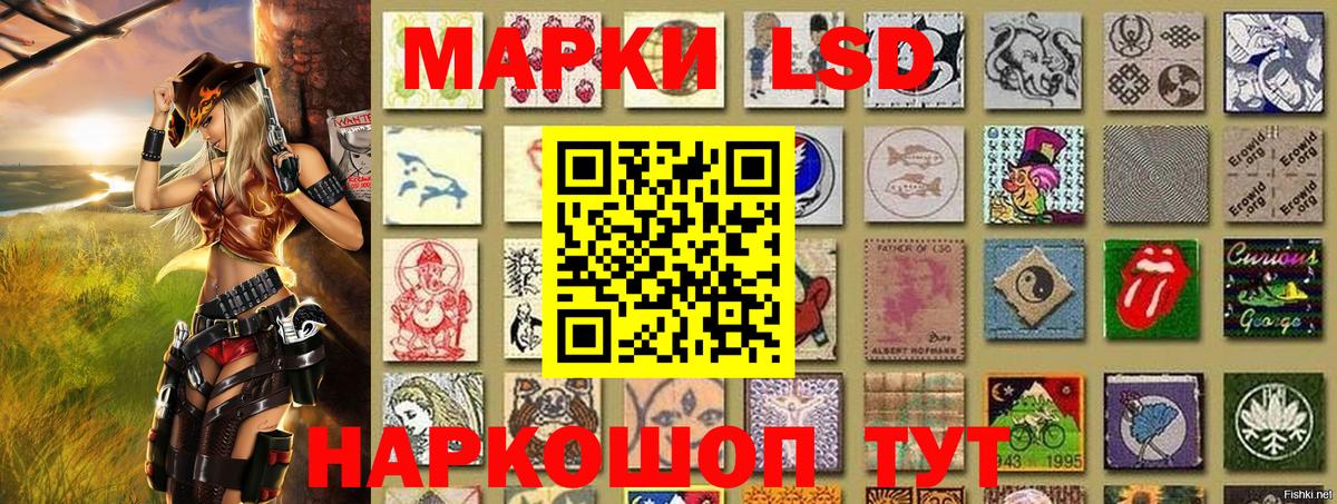Волхов  Наркотические марки 1,5мг  Вход с VPN 