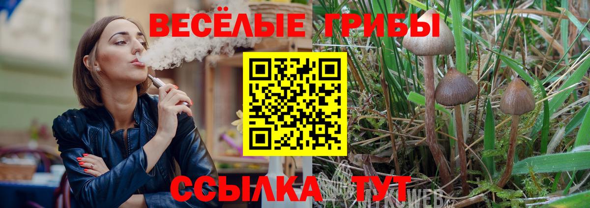 Галлюциногенные грибы мухоморы Волхов