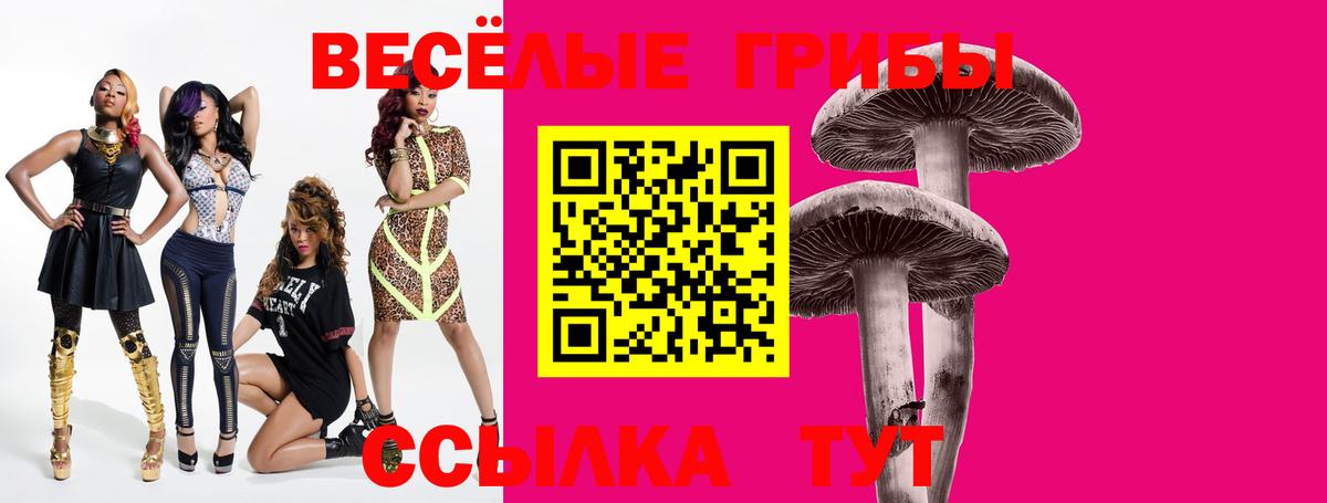 Псилоцибиновые грибы ЛСД  Вход с VPN  Псилоцибиновые грибы мицелий  где купить наркоту  Волхов 